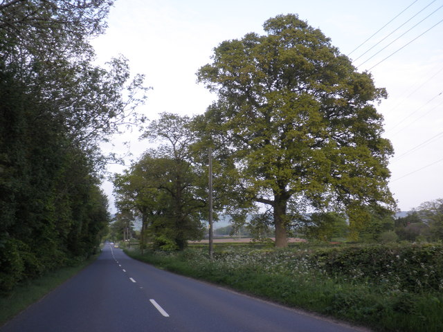 The B3174, north of West Hill