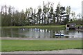 Boating Pond, Camperdown Park.