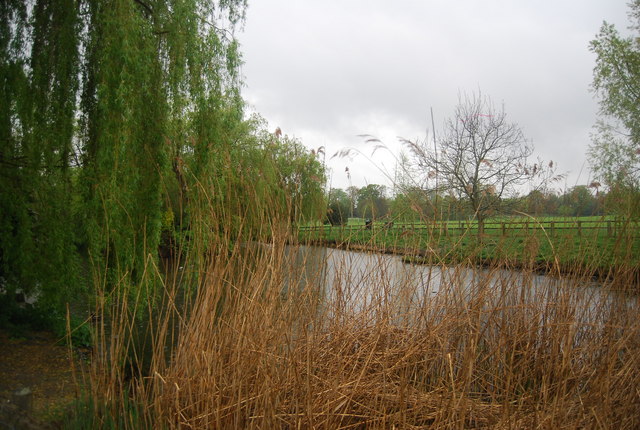 Pond, Horsham Park