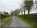 N9347 : Country Road, Co Meath by C O'Flanagan