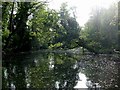 The Lake, Lakeside