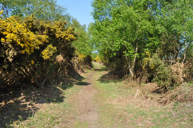 Southwold Railway Cutting © Ashley Dace cc-by-sa/2.0 :: Geograph ...