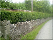 N9446 : Stone Wall, Culcommon, Co Meath by C O'Flanagan