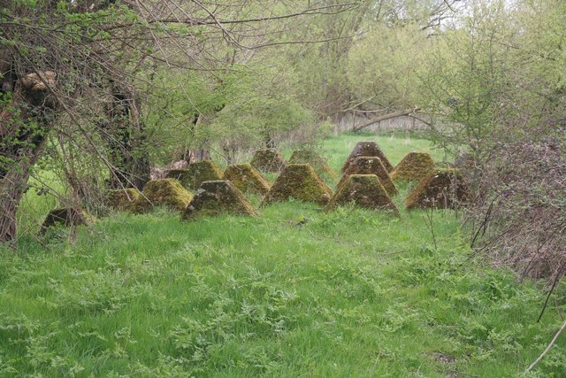 Dragons teeth by the river