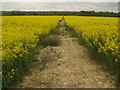 Footpath towards Hartfield Road