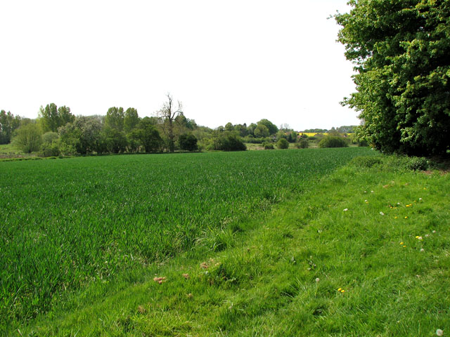 Fields east of South Raynham