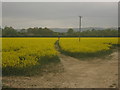 Footpath towards Hever Road