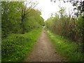 Bridleway to Marsh Green