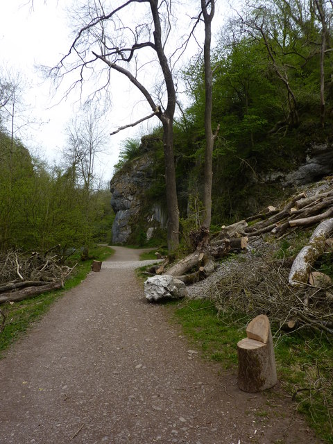 Tree felling and brush clearing © Peter Barr cc-by-sa/2.0 :: Geograph ...