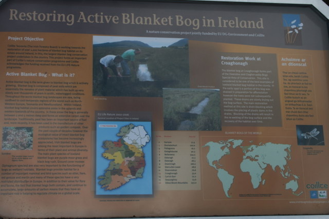 Active blanket bog restoration