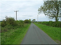 SE9636 : Littlewood Road towards Newbald by JThomas