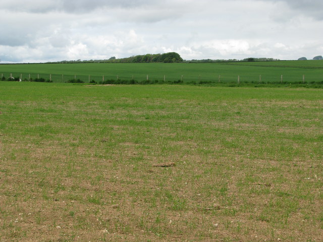 Field west of Poundbury © Sarah Charlesworth cc-by-sa/2.0 :: Geograph ...