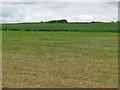 Field west of Poundbury