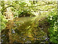 River Alde at Church Road Bridge