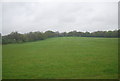 Farmland by the Downs Link