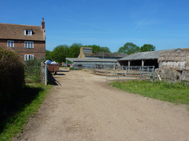 Higham Farm near Stodmarsh