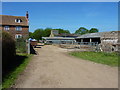 Higham Farm near Stodmarsh