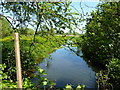 Part of the Lampen Stream, Stodmarsh