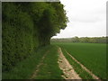 Footpath towards Hilders Farm