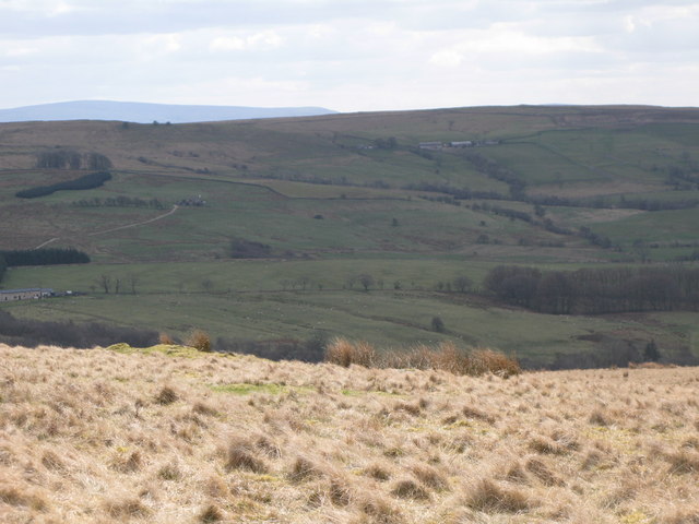 Panorama from the cairn north of Borderrigg (10: S)