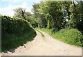 Farm Track nr Polpiece