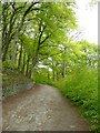 Jumps Lane, Todmorden