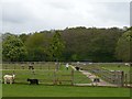 ST2384 : Cefn Mably Farm Park by Robin Drayton
