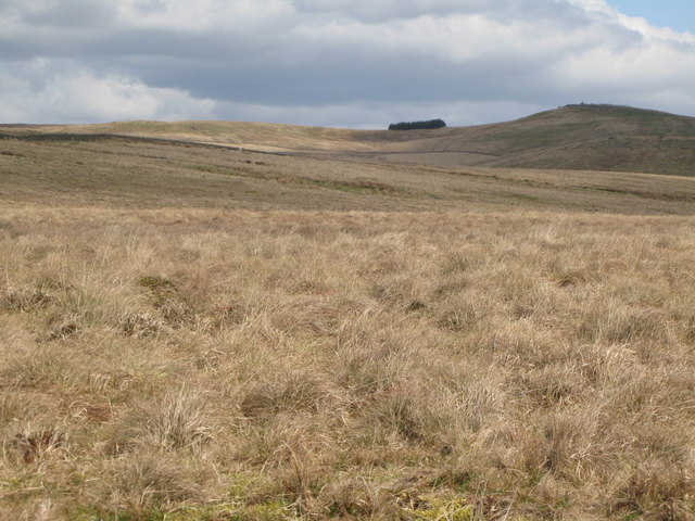 Panorama from the cairn north of Borderrigg (18: NE - White Preston)