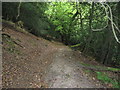 Footpath to Bexleyhill