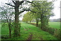 TQ1032 : Hedge between fields by N Chadwick