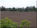 J3634 : View across a potato field towards Maghera parish church by Eric Jones