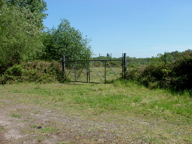 Disused Tip, Bisley Ranges © Alan Hunt Cc-by-sa 2.0 :: Geograph Britain 