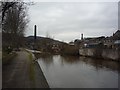 Canal through Bingley