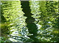 Reflections in the lake at Kearsney Abbey