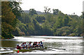 Rowing on the Lagan, Belfast