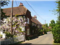 The Street, Thursley