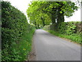 Road from Fernhurst  to Lickfold