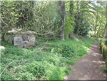 NY9364 : Footpath by the Cockshaw Burn by Mike Quinn