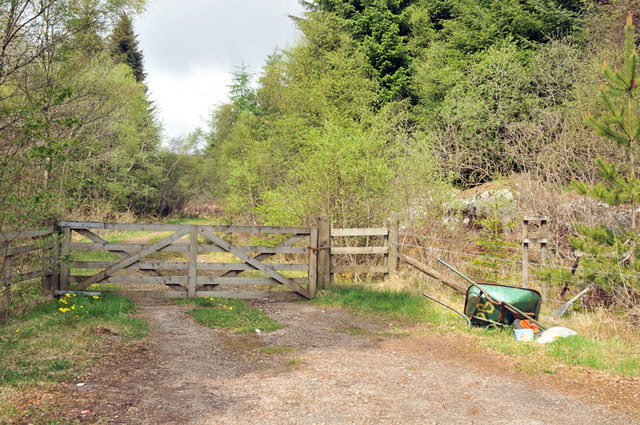 Gated forest road into Torr Wood