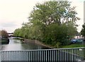 The Newry Canal from Dublin Bridge