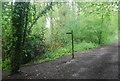 Footpath off the Downs Link, Rudgwick