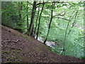 Steep drop to River Rother tributary in River Wood