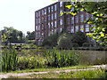 Cobden Mill and Lodge