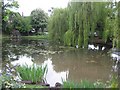 Ruislip: Manor Farm: The Horse Pond