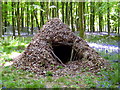 Leafy Hut - Hooke Park