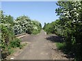 Cycle route on the old railway