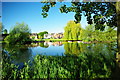 The Duck Pond Theydon Green