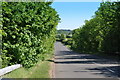 Lane from M42 bridge near Austrey