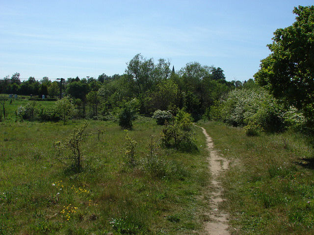 ash-surrey-alan-hunt-geograph-britain-and-ireland