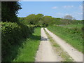 SN4962 : Farm track leading to Lloegr-fach by David Purchase